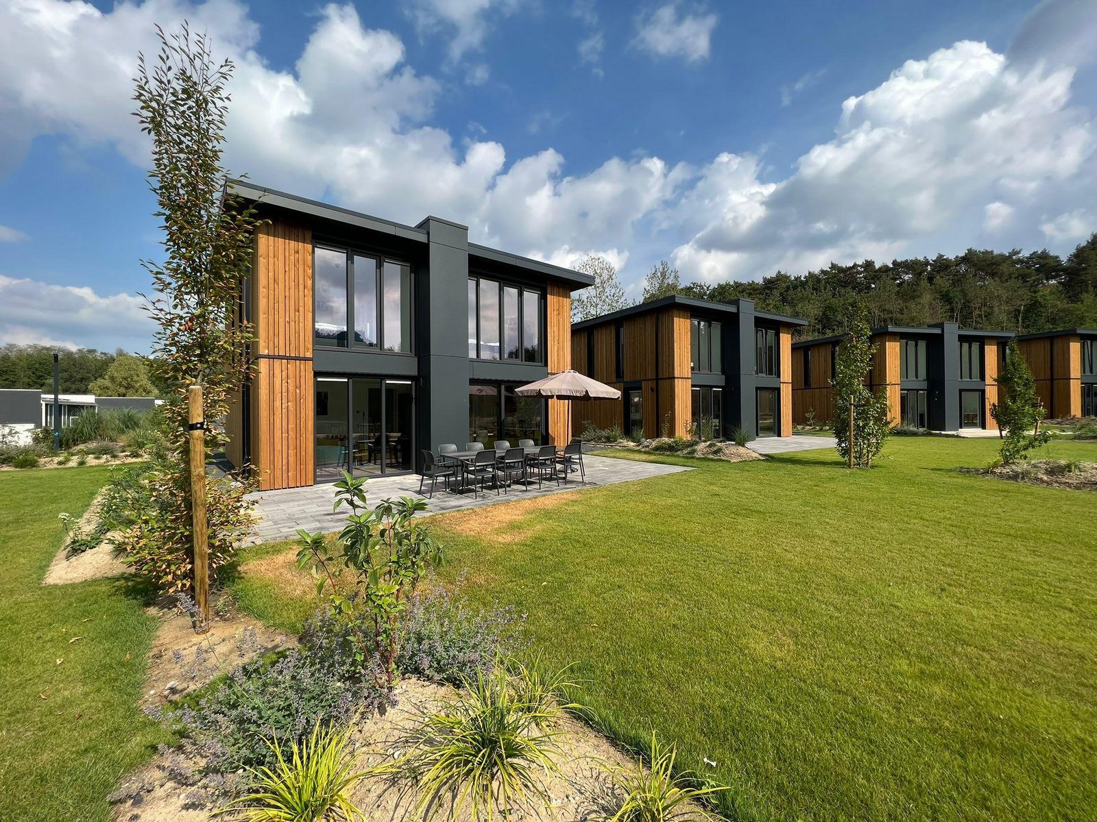 Maasduinen · Cube Magnifique 10