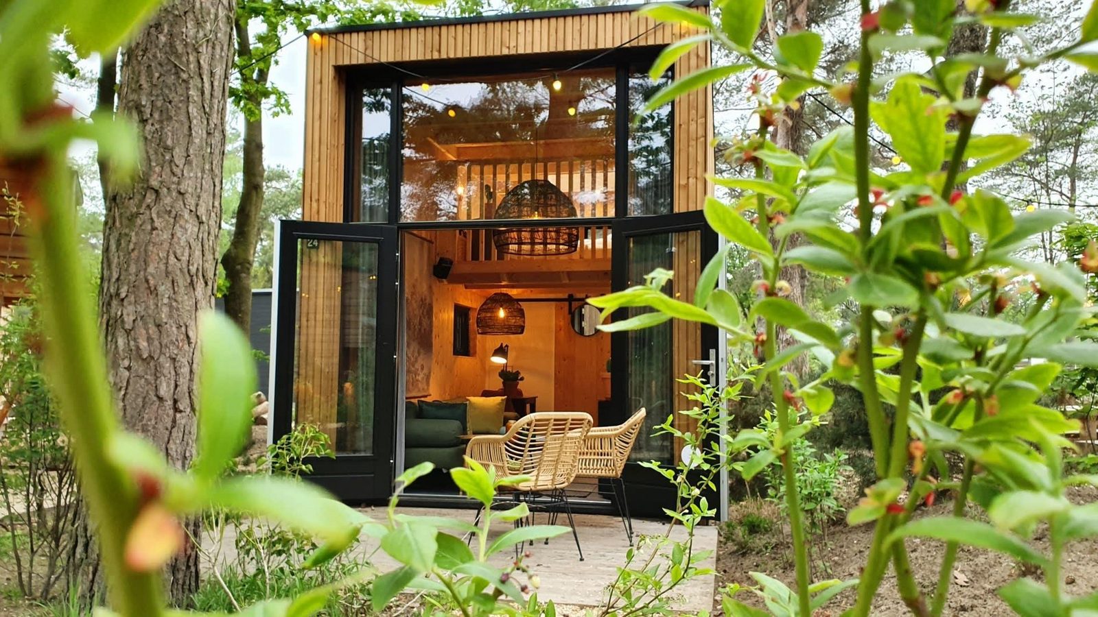 Maasduinen · Tiny House 2 cover