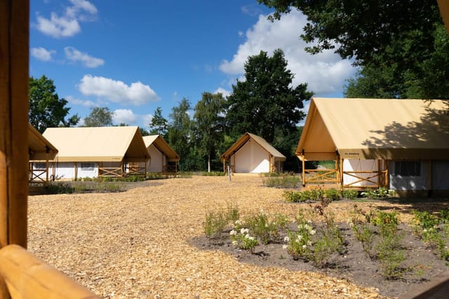 Zilverstrand · Glampingtent Luxe 4