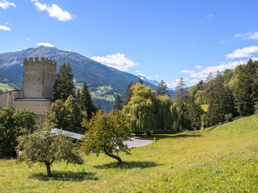 Burg Biedenegg, Sigwein cover