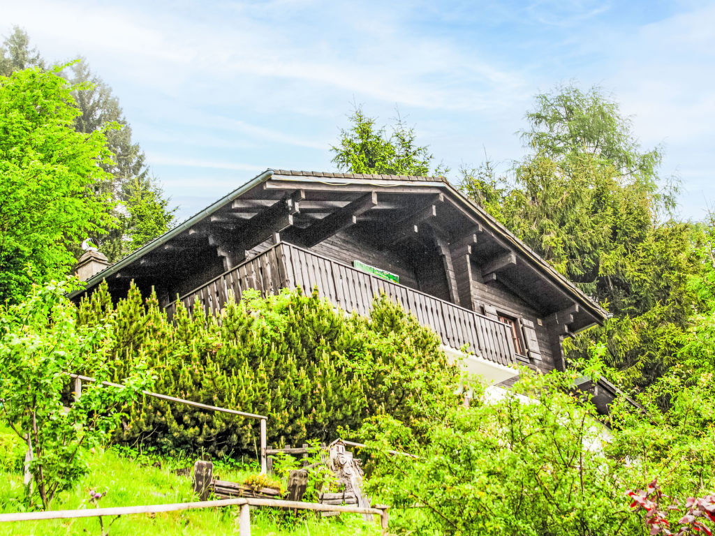 Chalet Les 3 Marmottes