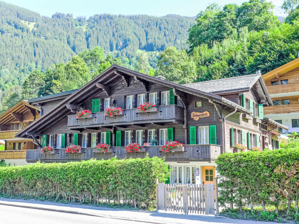 Schwendihus cover
