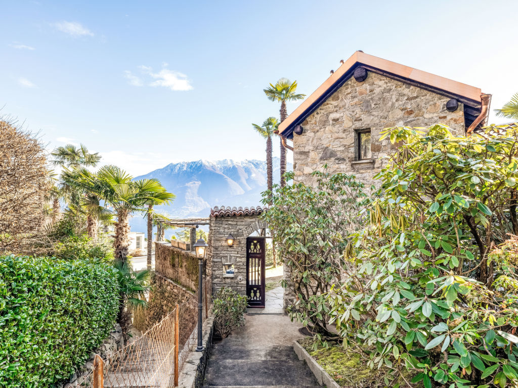 Palm Cottage cover