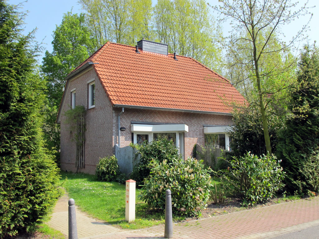 Nordseeblick cover
