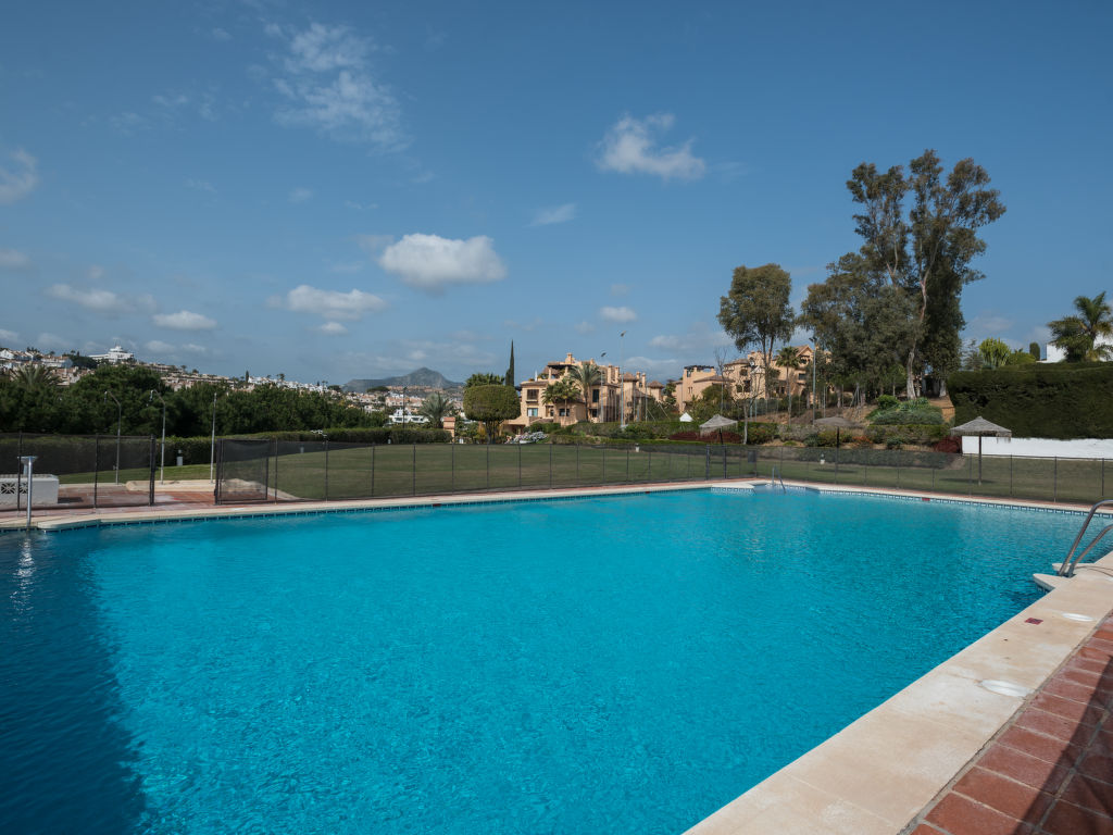 La Palmera cover