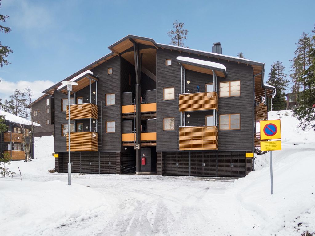 Karhunvartijan linna b11 cover