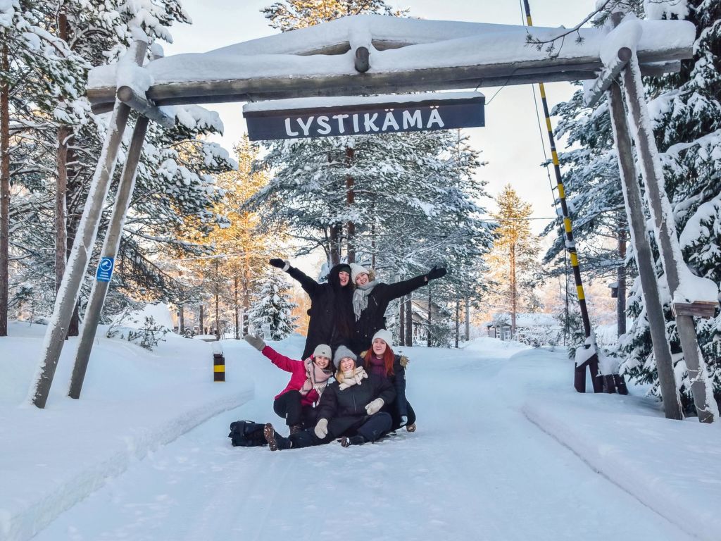 Villa lystikämä cover