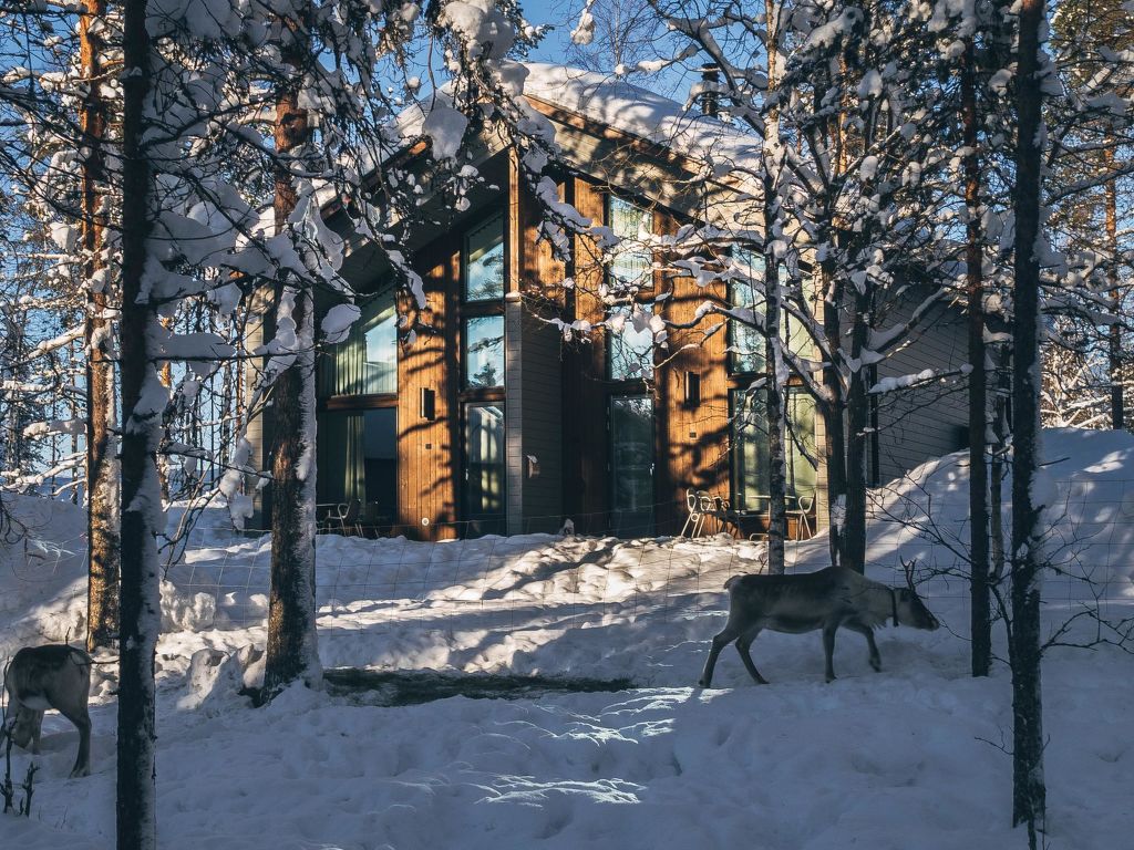 Honka a cover