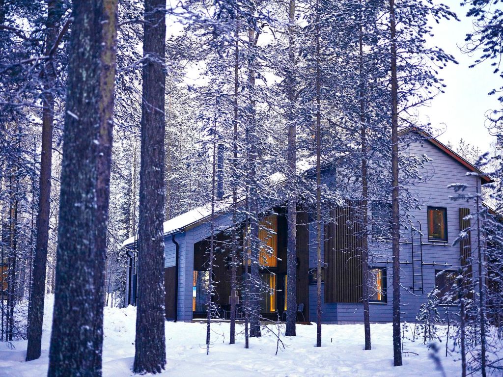 Petäjä a