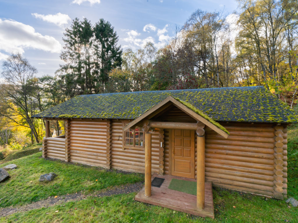Bear Cabin