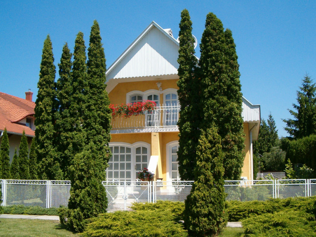 Thuja cover