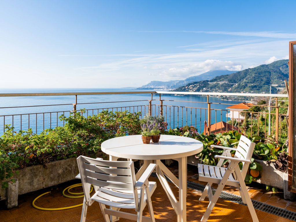 Monte Carlo View cover
