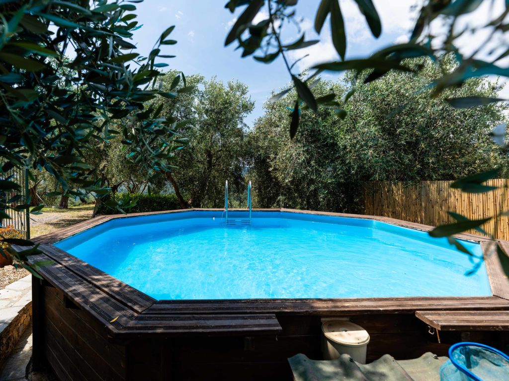 Olive Lodge cover