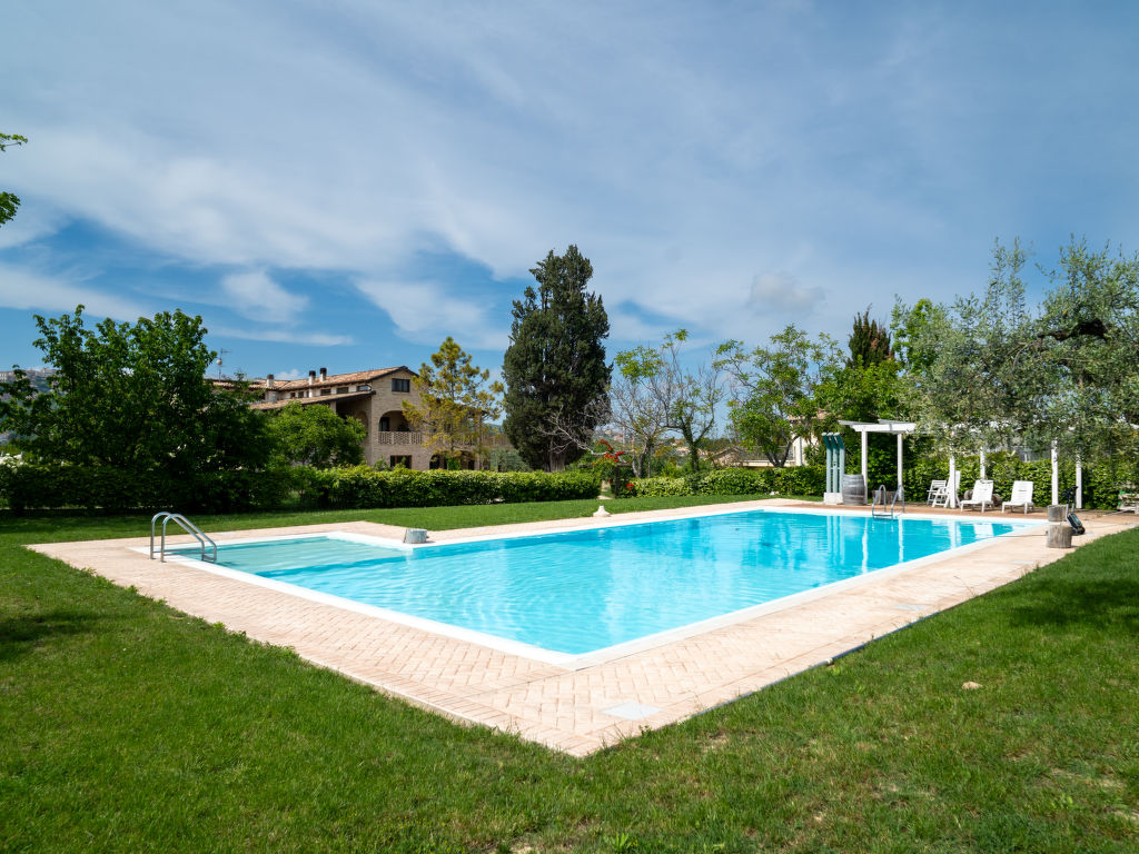 Torretta cover