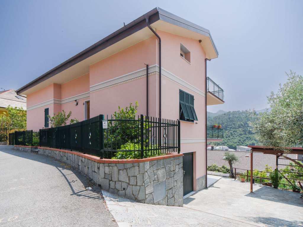 Il Caprifoglio