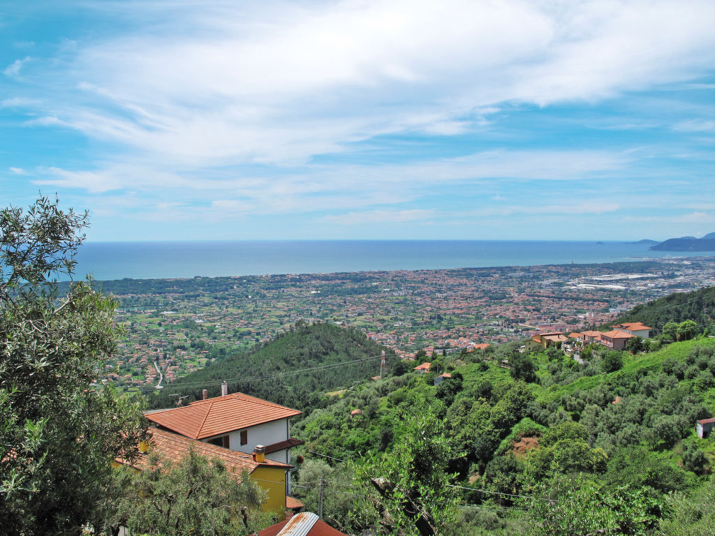 Del Freo cover