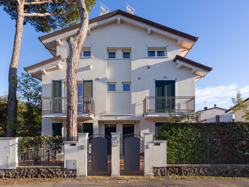 Michelangelo I cover