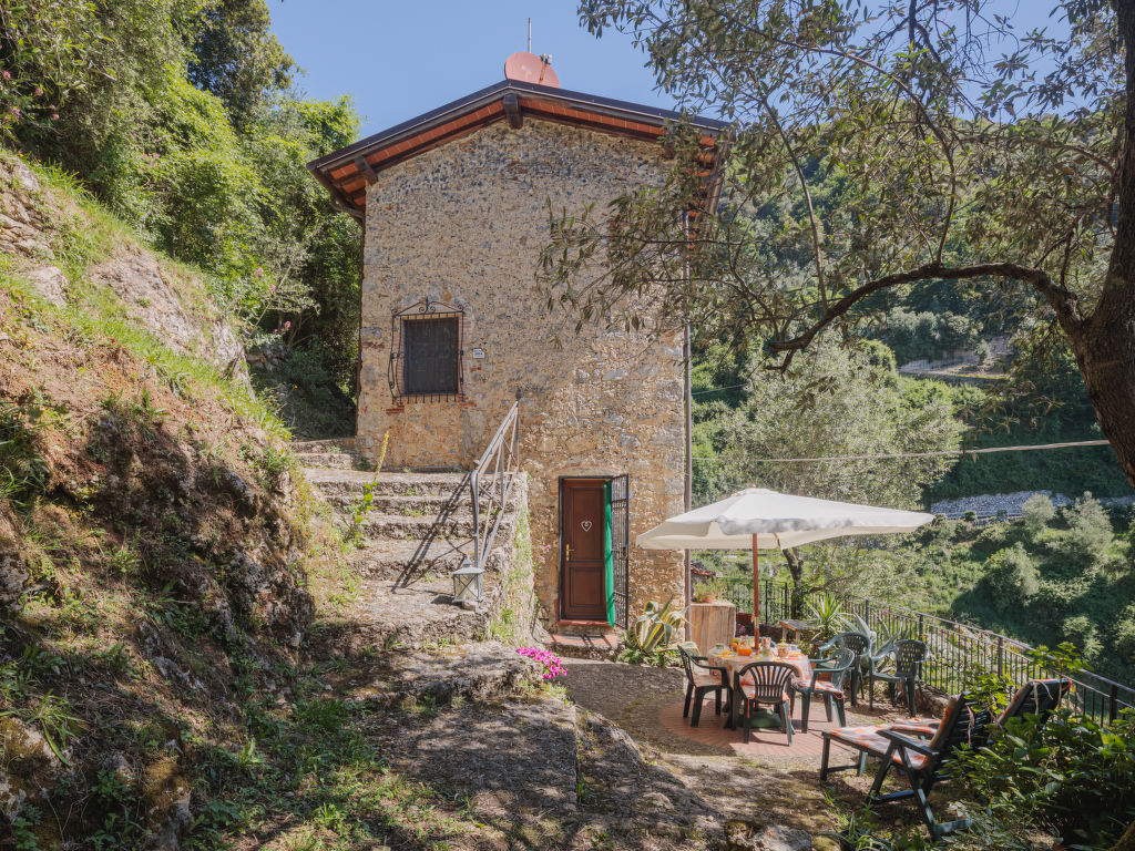 L'Oliveto cover