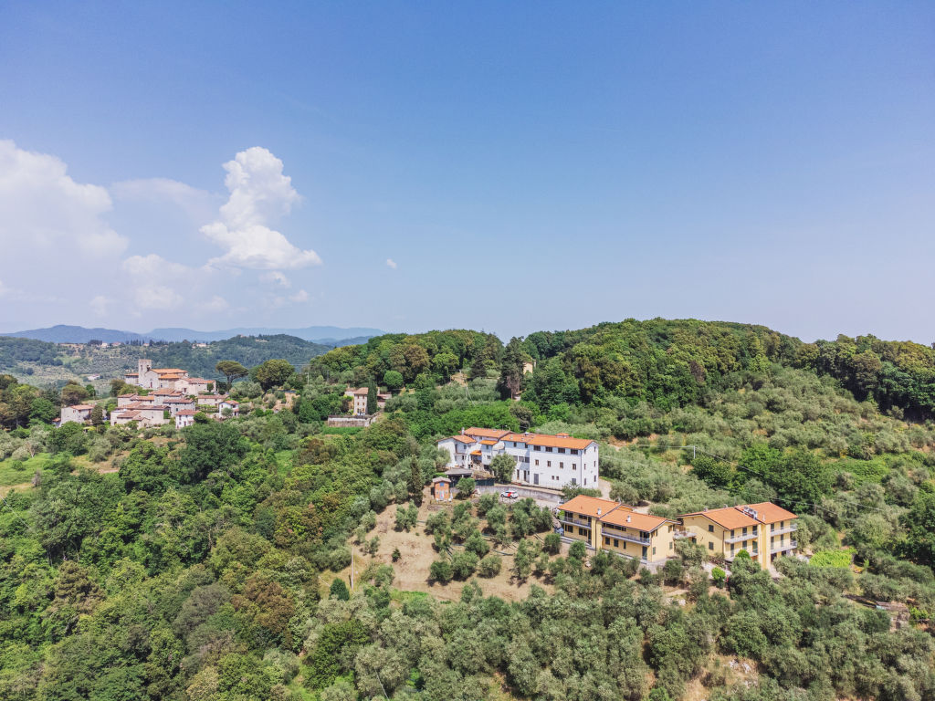 Ca` del Lovi cover