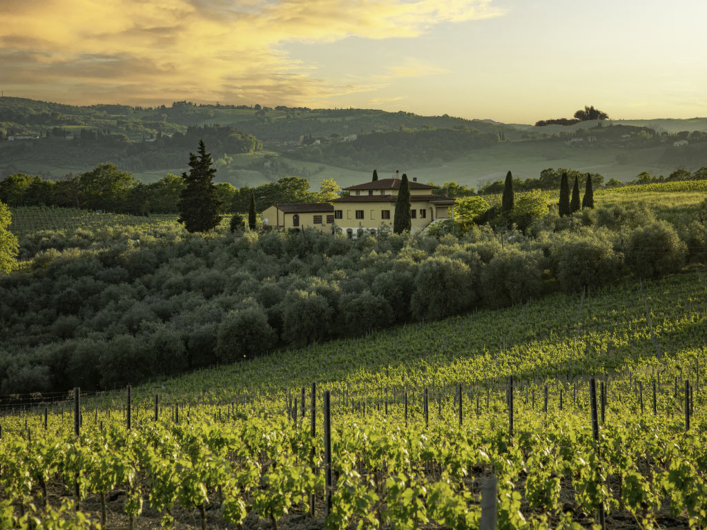 Podere San Michele cover