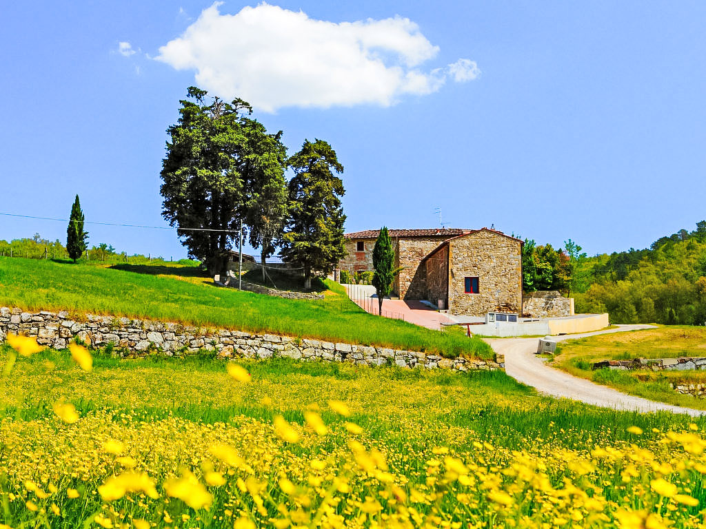 Locazione turistica Selvapiana cover