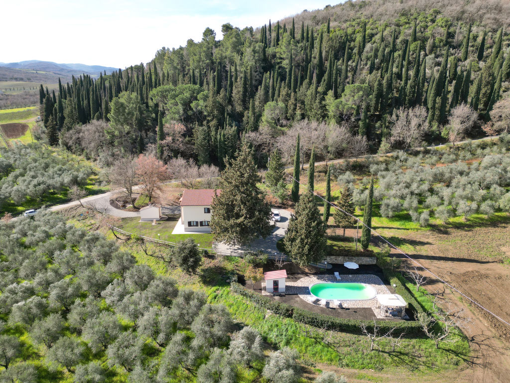 Il Cipresso
