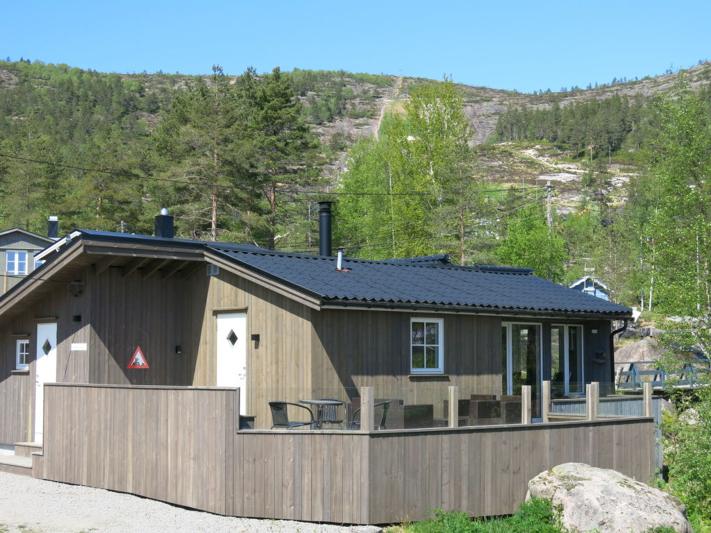 Torfinnbu