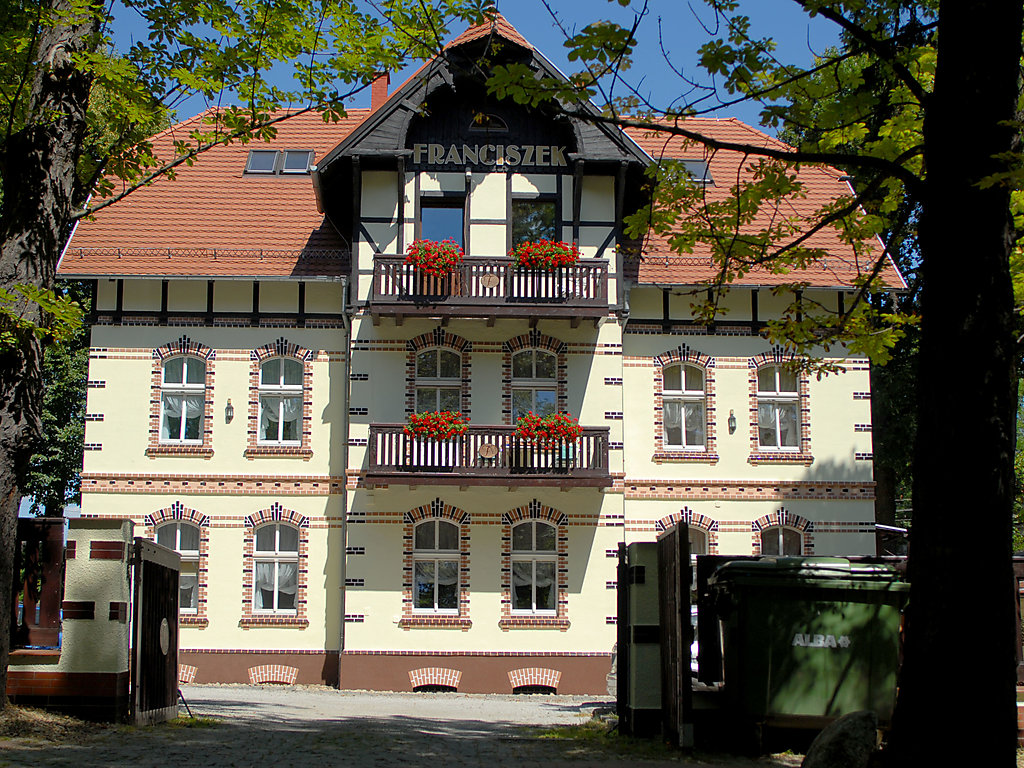 Zieleń cover