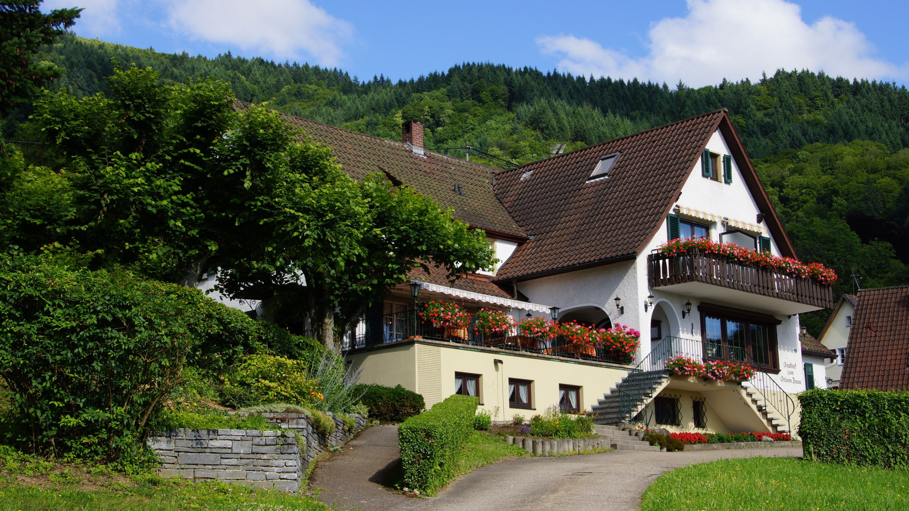 Landgasthof Grüner Baum cover