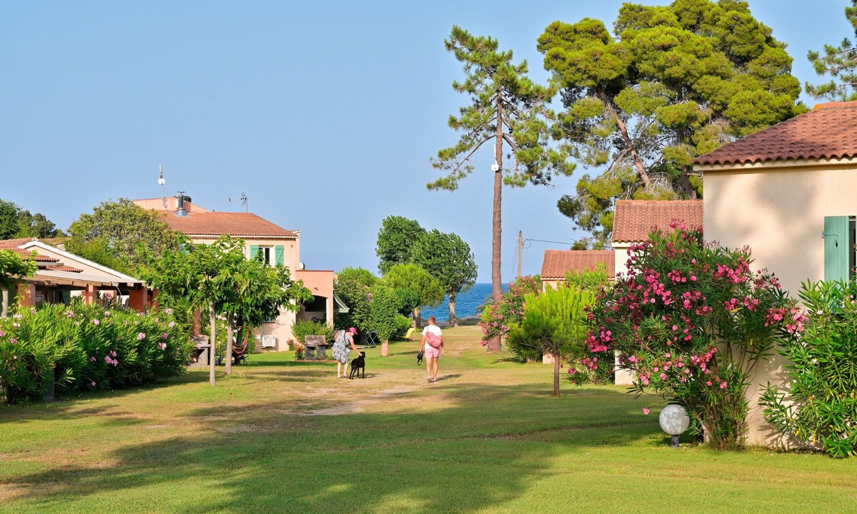 Vakantiepark Pinea Mare cover