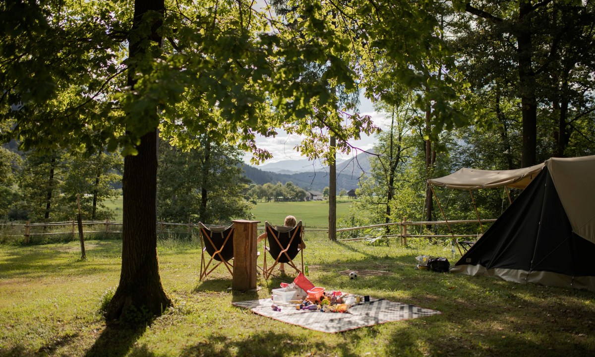 Forest Camping Mozirje cover