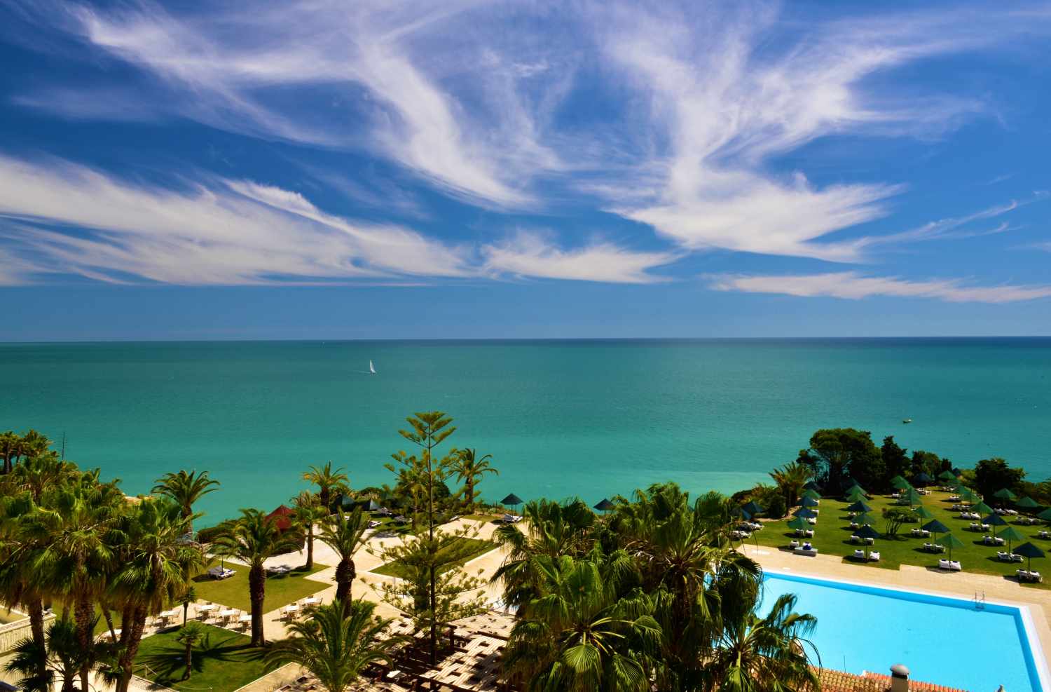 Pestana Viking cover