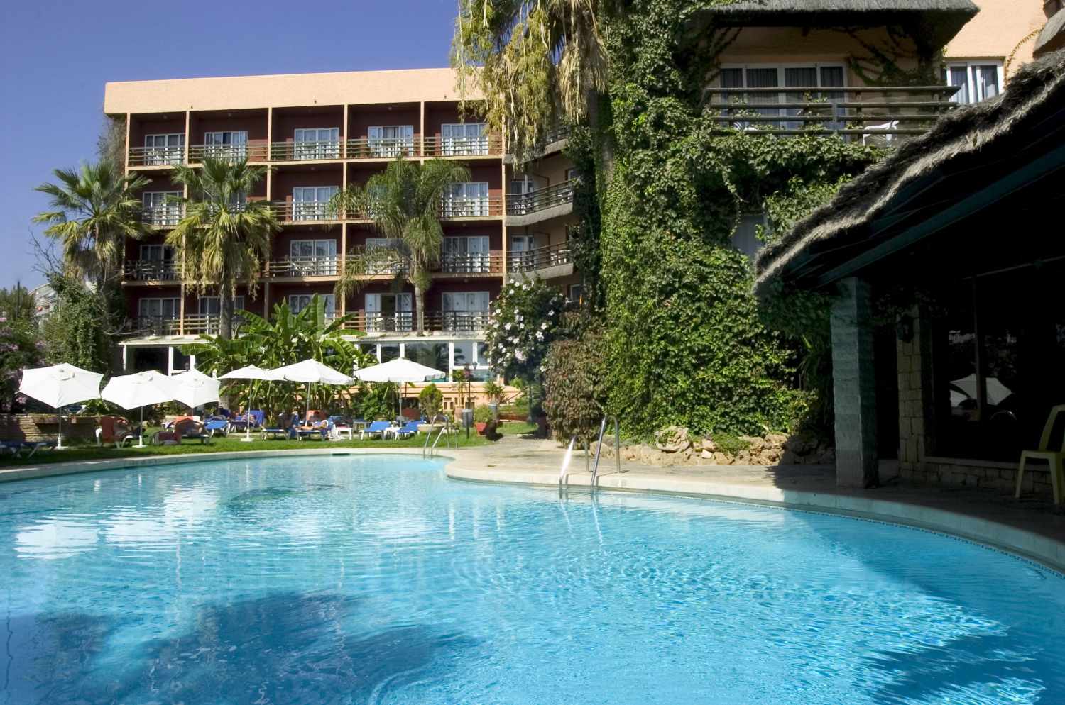 Hotel MS Tropicana cover