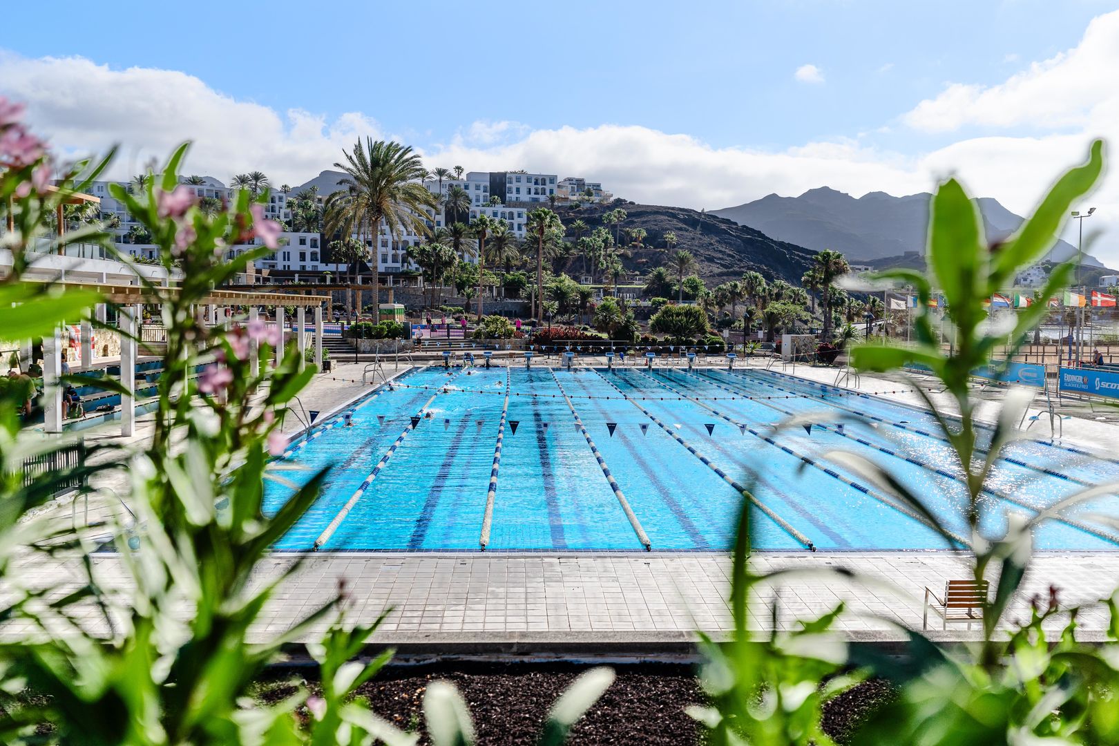 Playitas Hotel cover