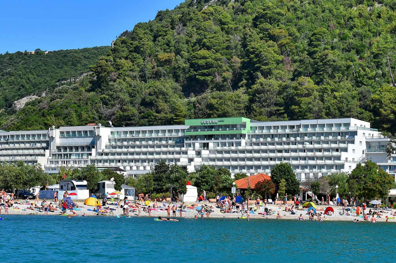 Hedera Hotel