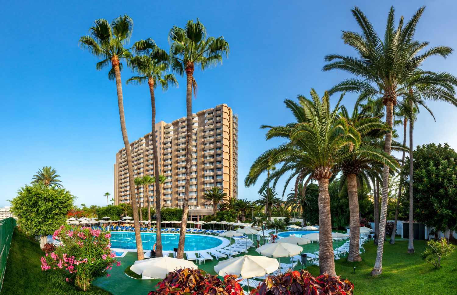 Sol Arona Tenerife cover