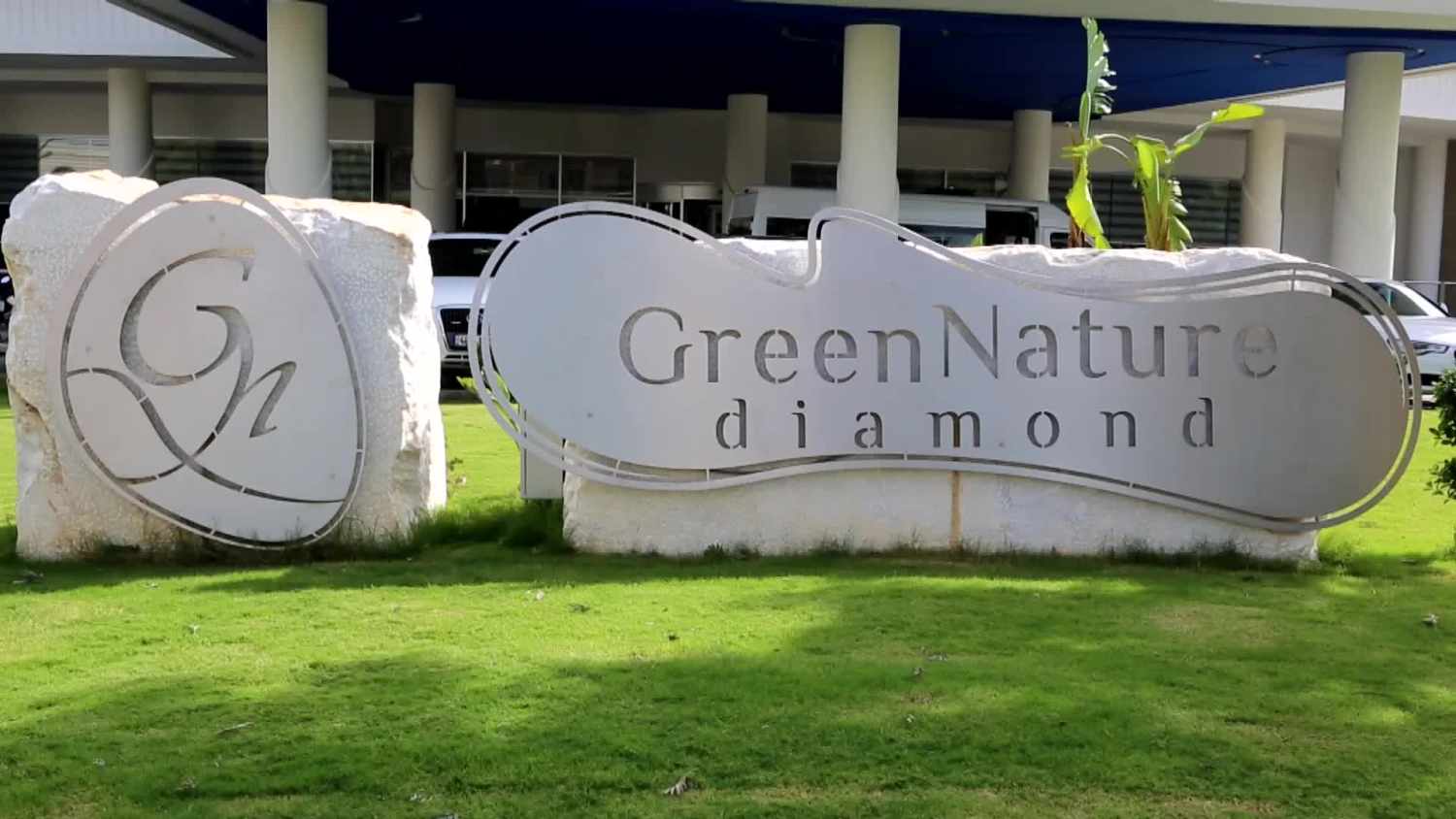 Green Nature Diamond cover