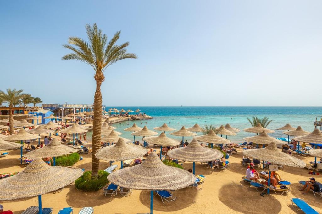 King Tut Aqua Park Beach Resort cover