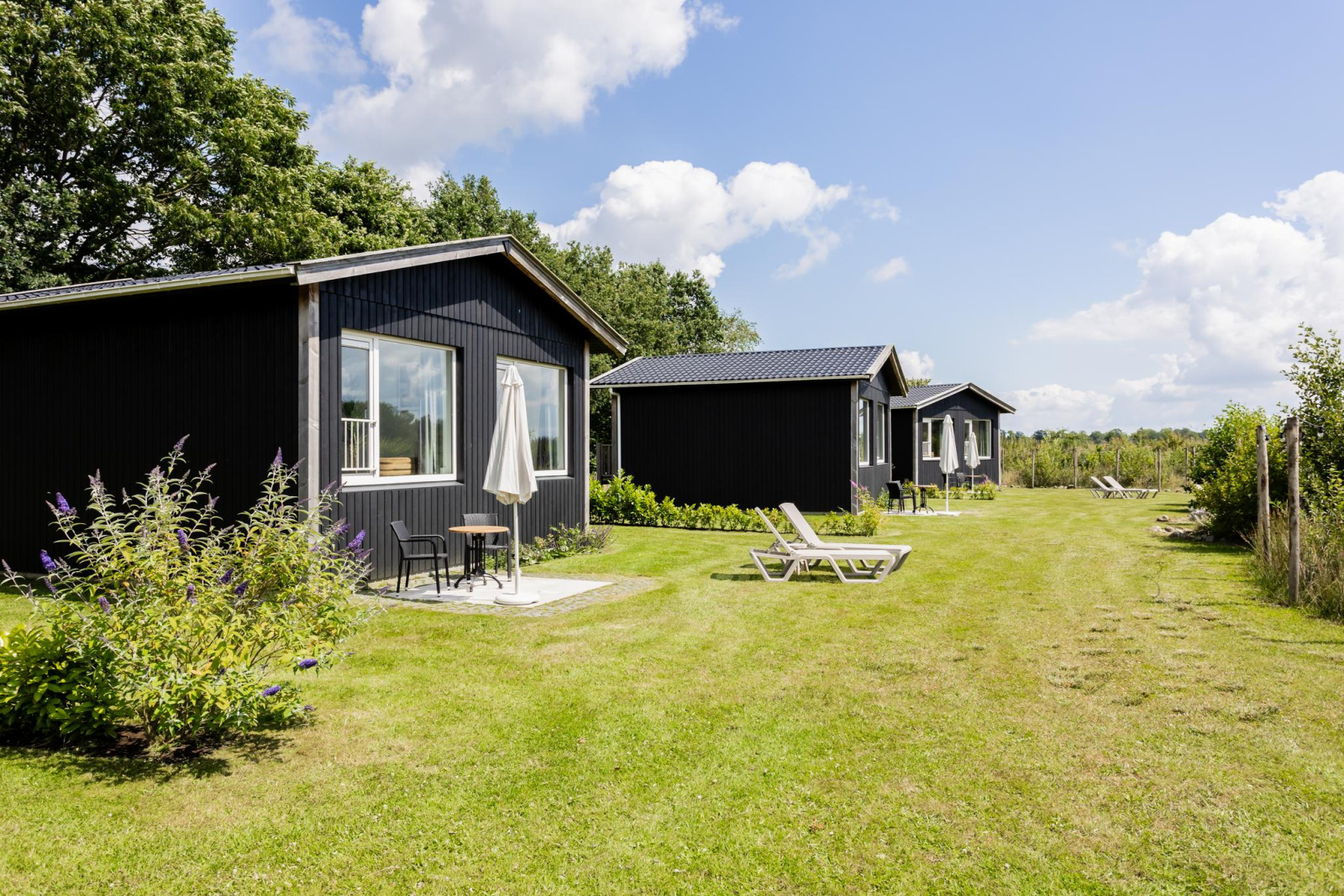 «Tiny House XL» cover