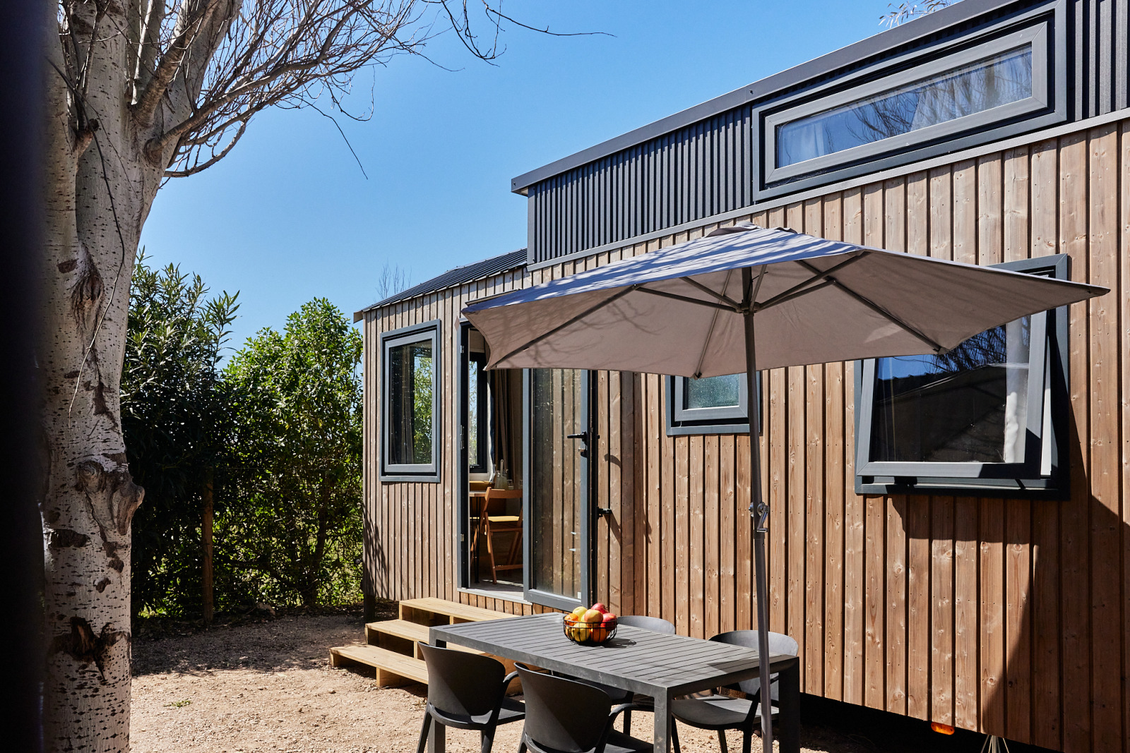 «Tiny Home Arrozal» cover