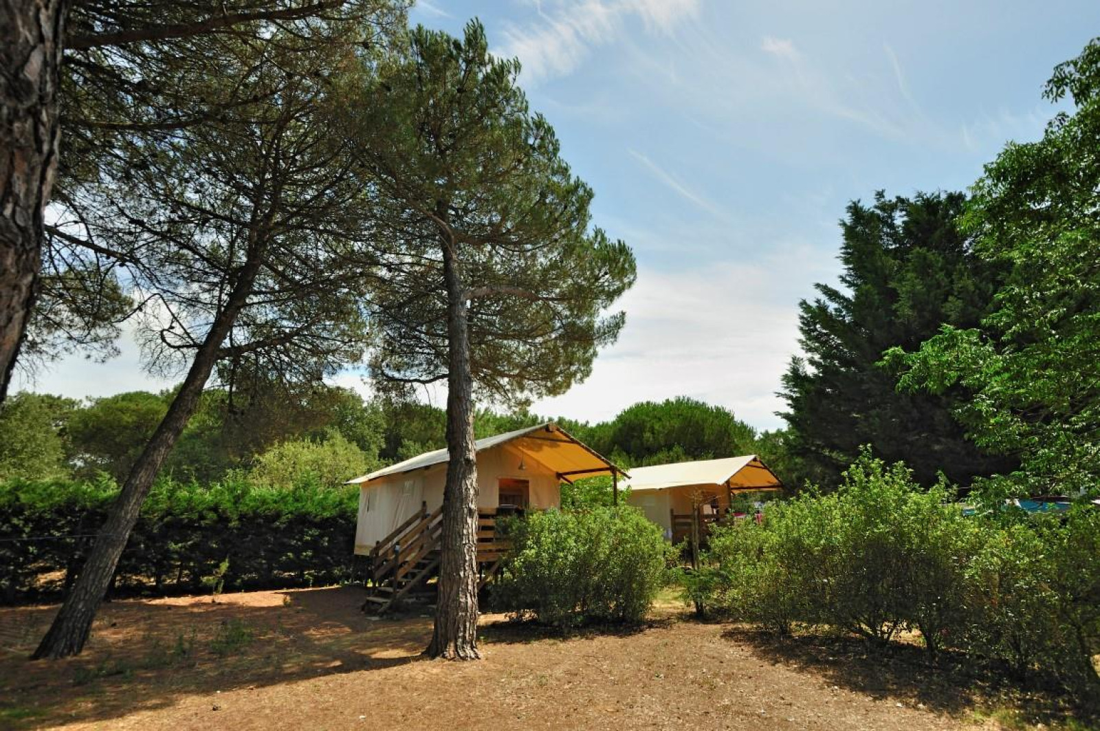 Hut lodge op heipalen «Standaard» cover