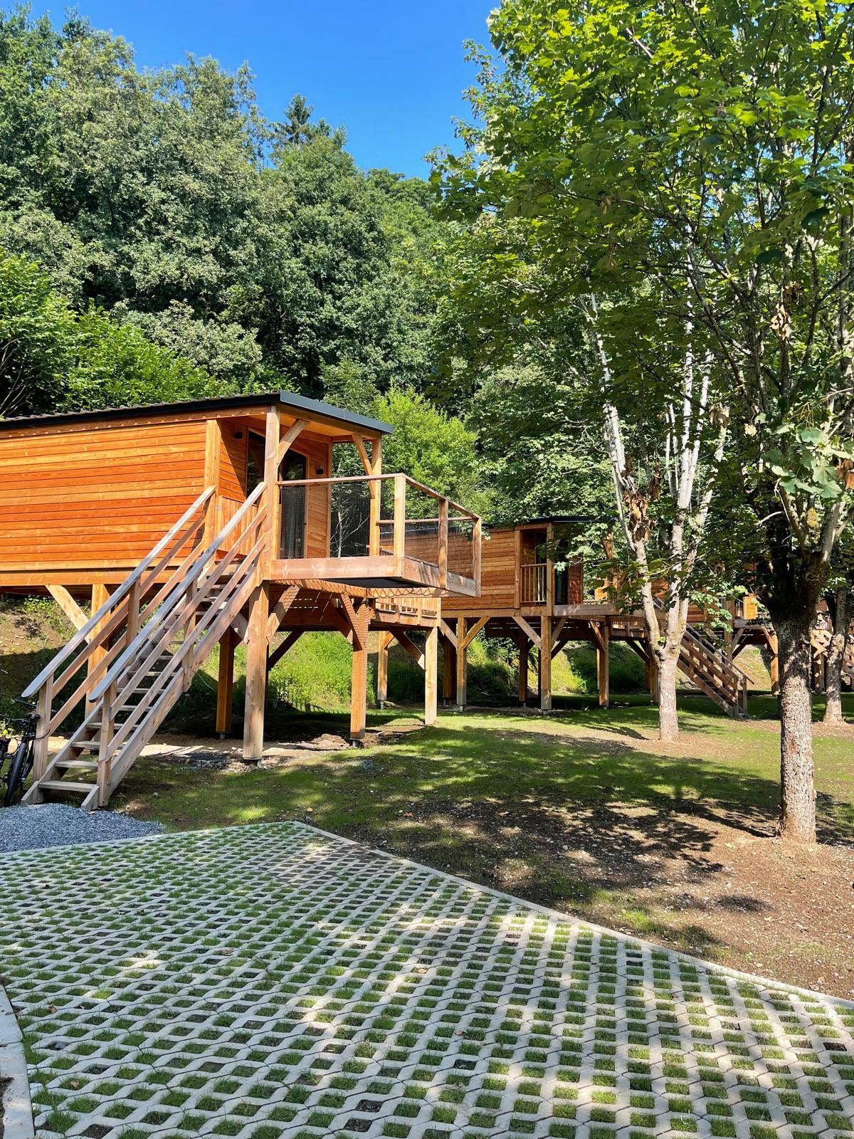 «Tree House» cover