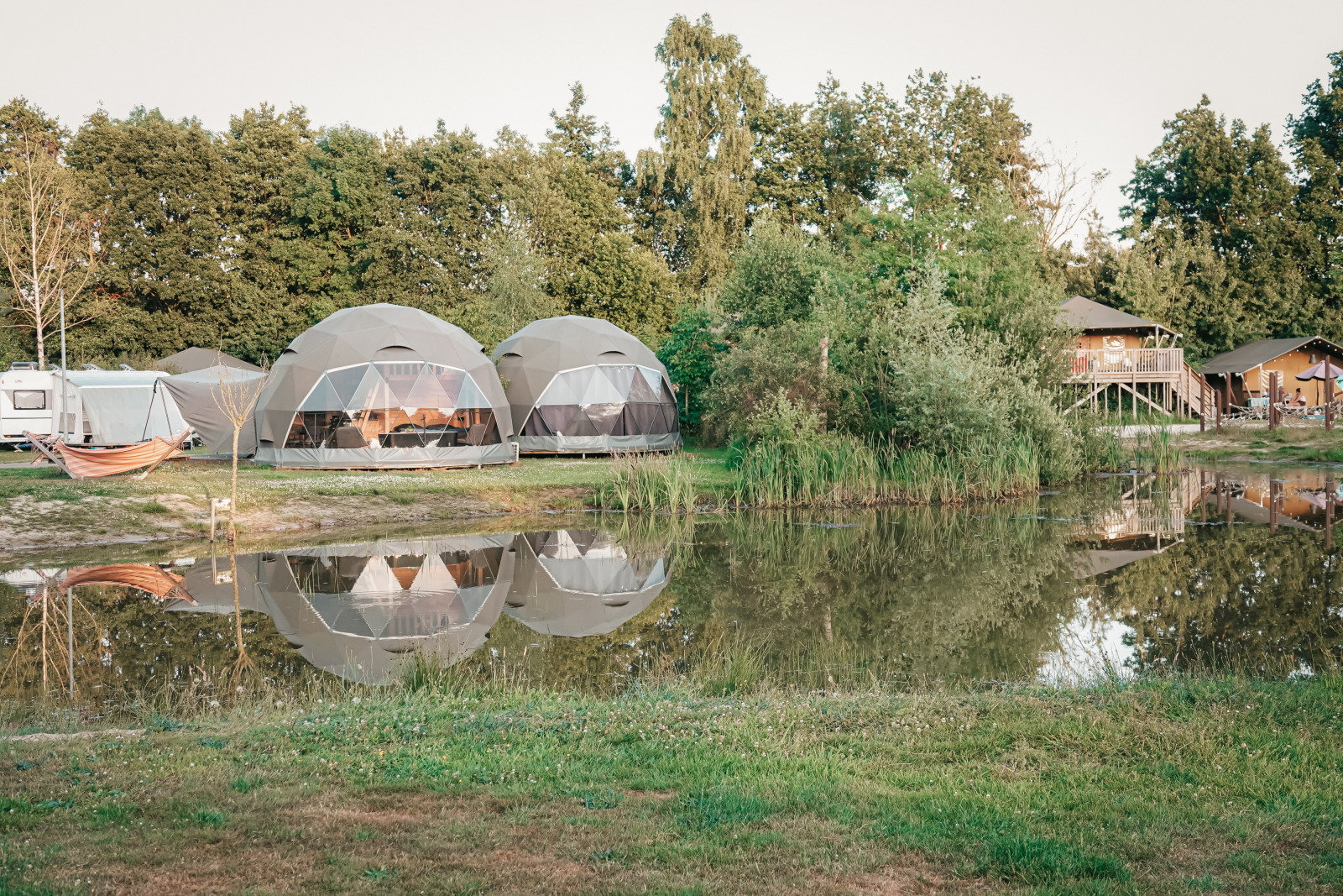 «Round Holly Tent» cover