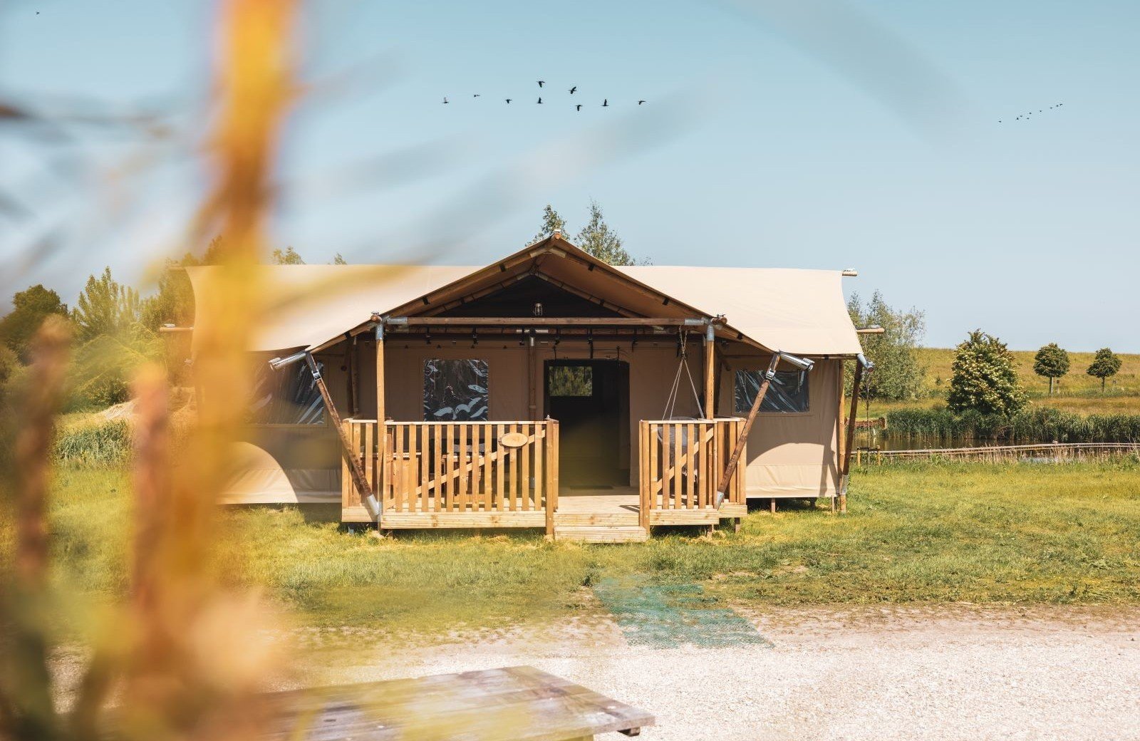 Safarilodge «Impala» cover