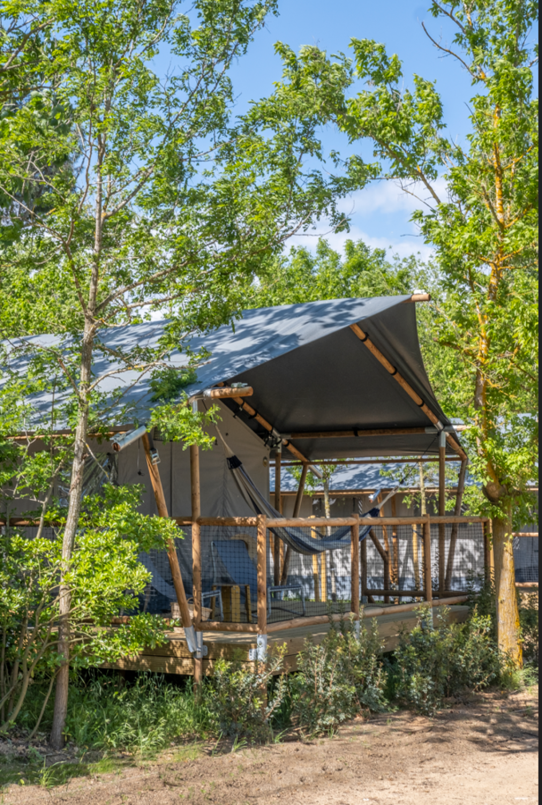 «Lodge Family Plus» cover