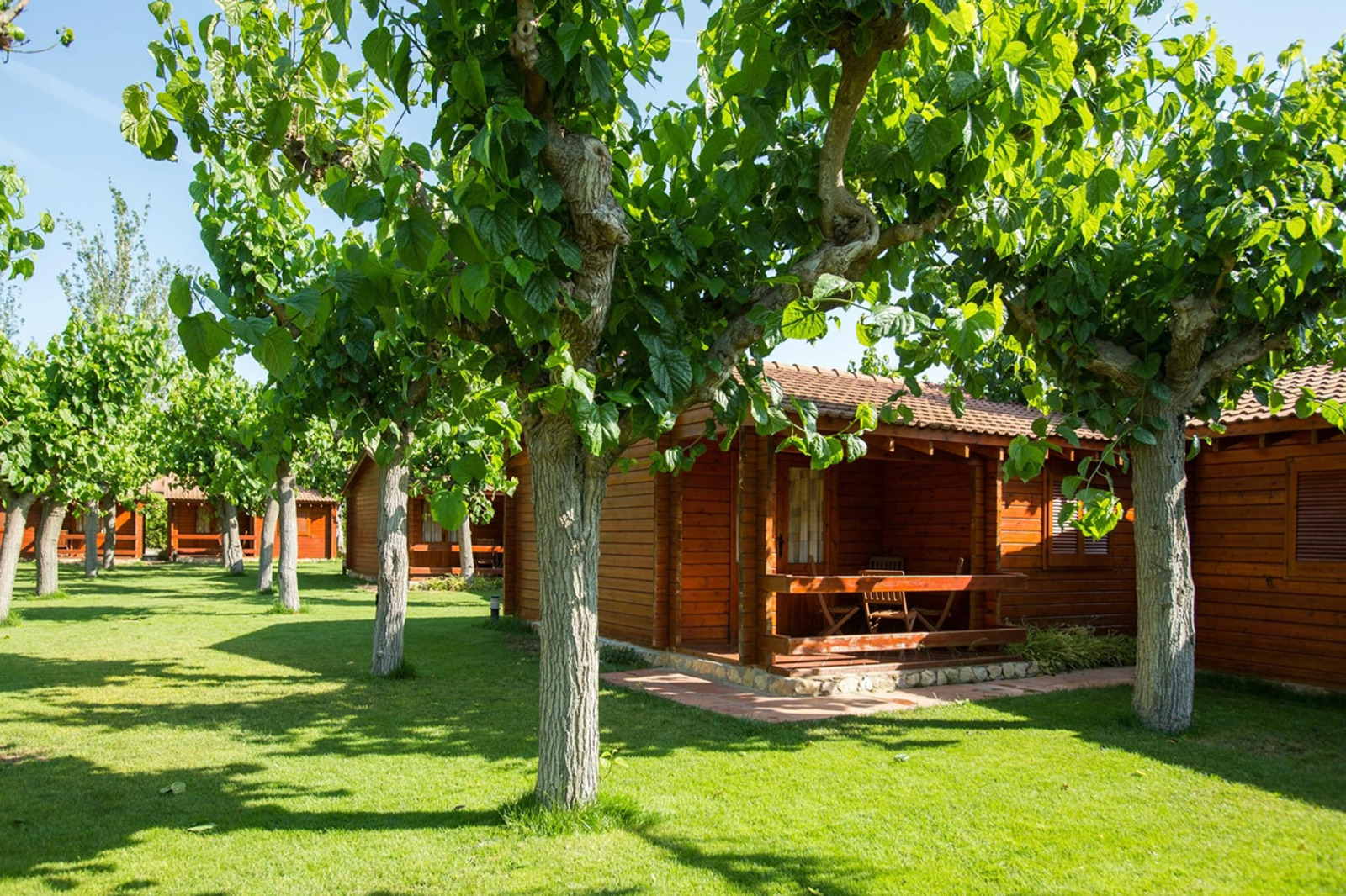 «La Llosa Mestral- Bungalows-G» cover