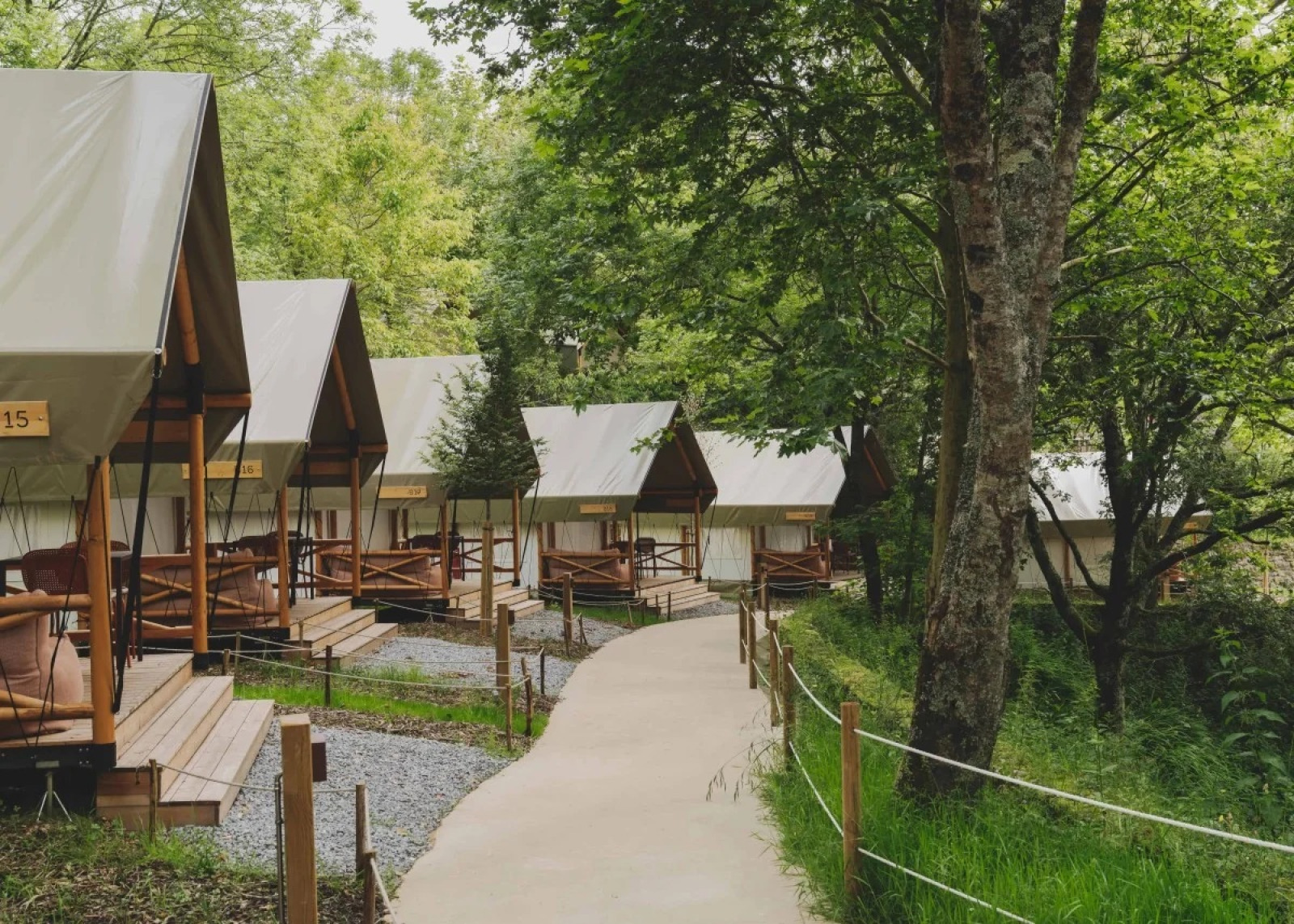 «Glamping Family Plus» cover