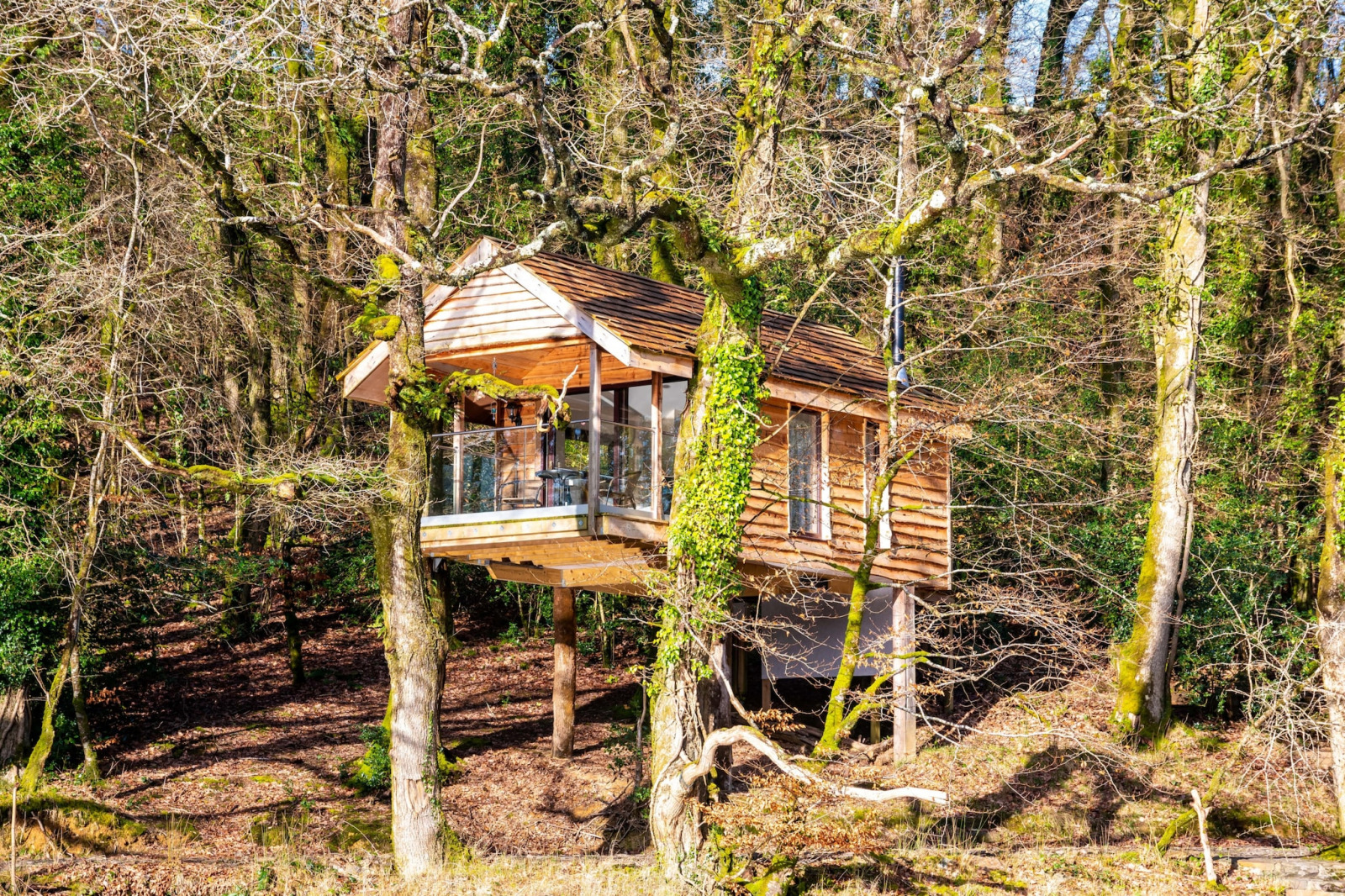 «Yeworthy Eco-Treehouse»