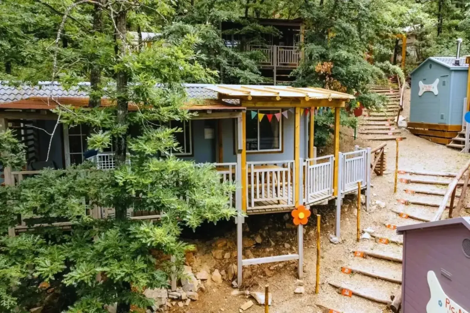 Cottage «Spotty» cover