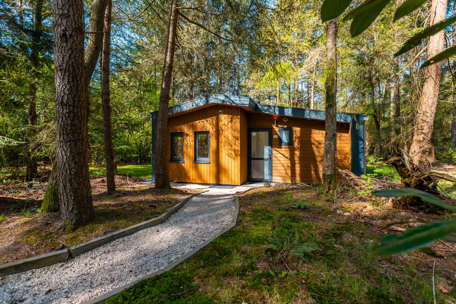 «Zandborg Lodge»